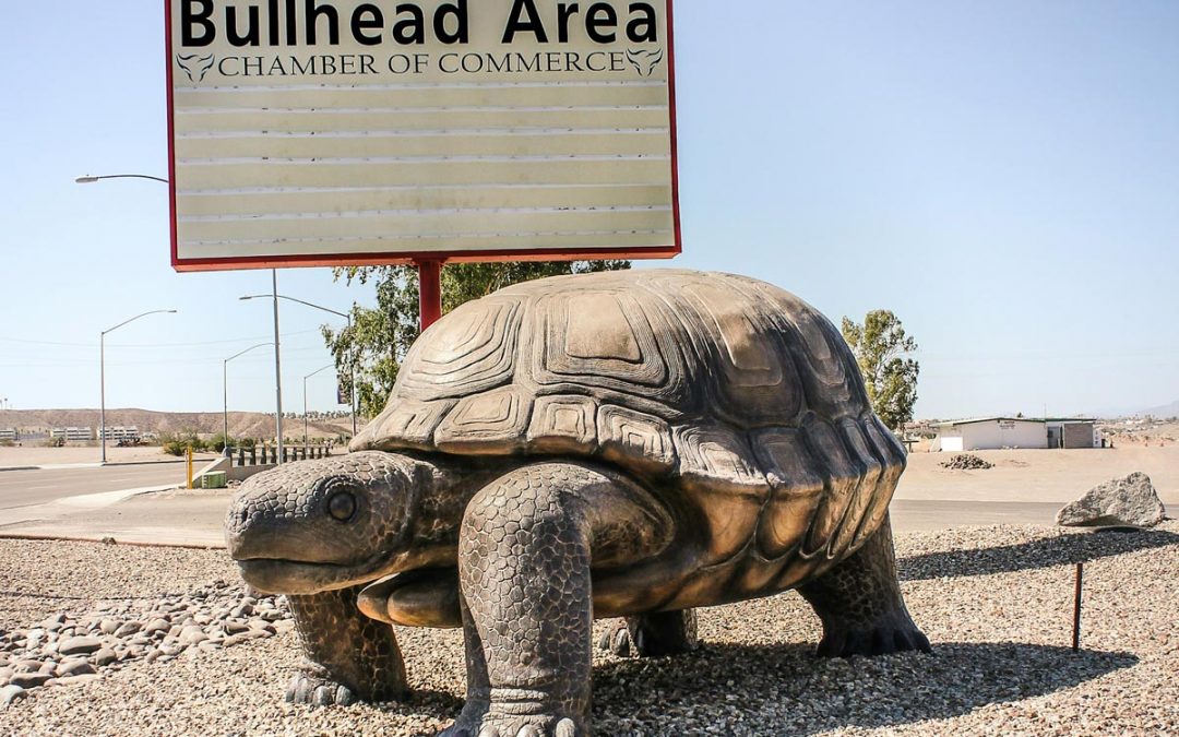 The worlds largest Desert Tortoise Statue, Bullhead City, AZ