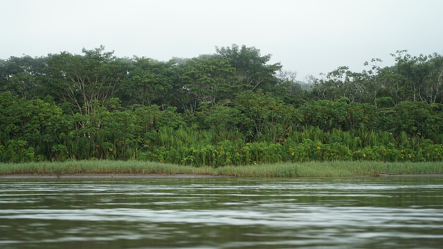 The Amazon river is the World's Largest by some measurements