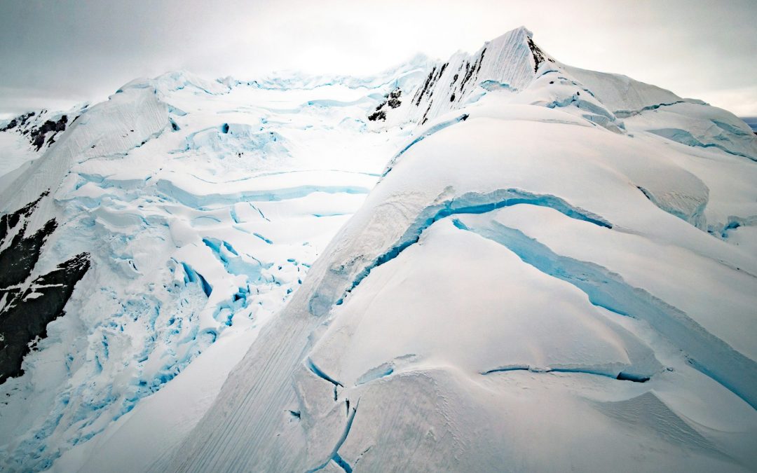 The largest desert in the world is Antarctica