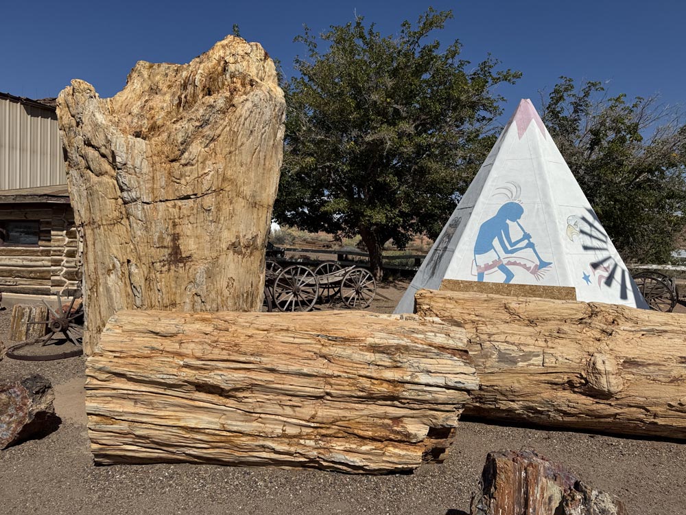 The largest petrified tree in the world, Geronimo, AZ