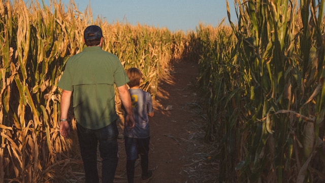 The world's largest corn maze, Richardson Adventure Farm, Illinois