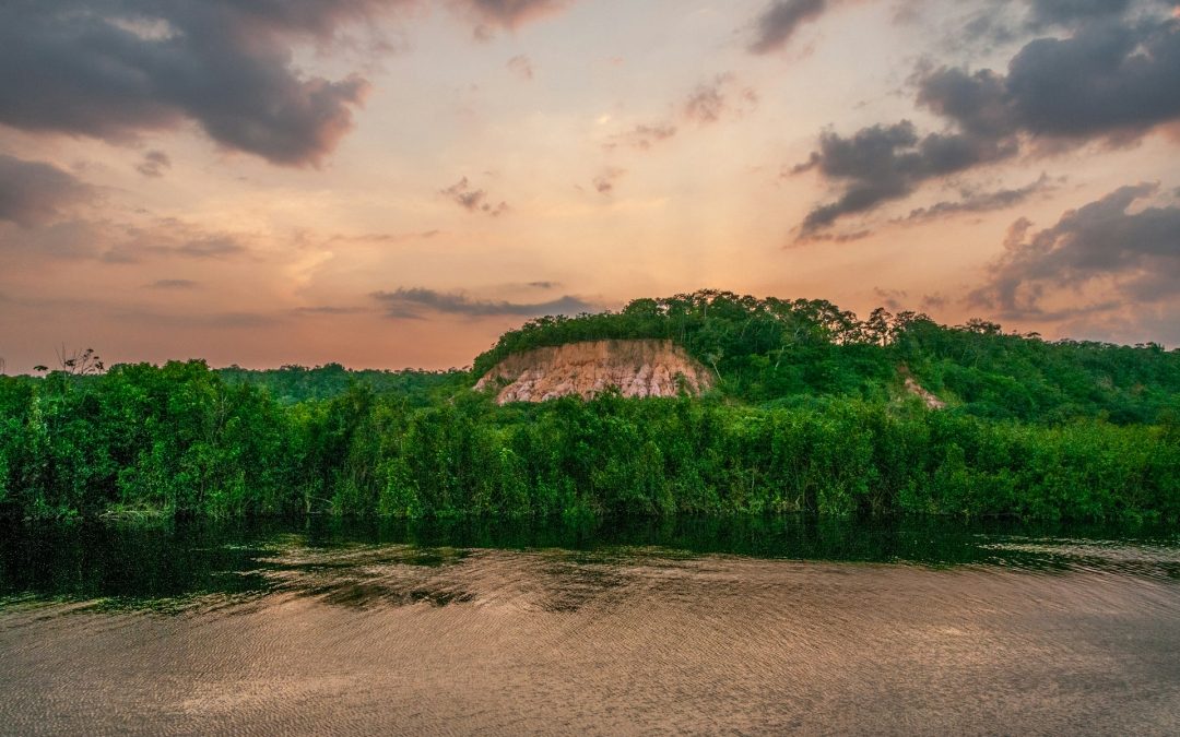 This is the Amazon River, often debated as the largest vs the Nile