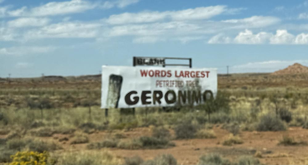 Look for this sign for the World's Largest Petrified Tree, Geronimo, AZ