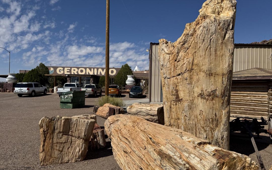 The largest petrified tree in the world is in Geronimo, AZ